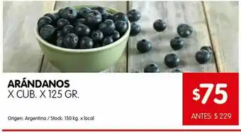Disco Arándanos en cubeta oferta
