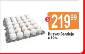 Autoservicio Capo Huevos Bandeja x 30u oferta