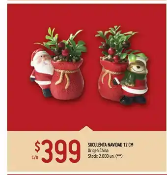 Walmart Suculenta navidad 12 cm oferta