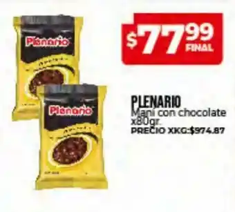 Supermayorista Vital Plenario Mani con chocolate x 80gr oferta