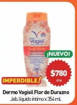 Anika Shop Dermo Vagisil Flor De Durazno Jab. Líquido íntimo oferta