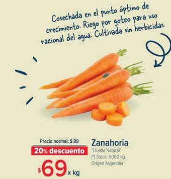Carrefour Zanahoria oferta