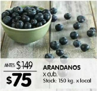 Disco Arándanos x cubeta 125g oferta