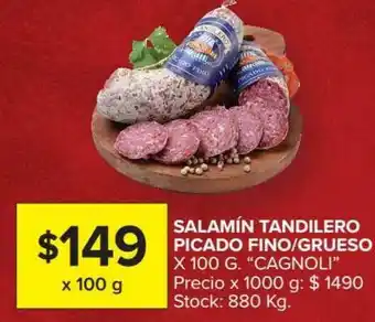 Carrefour Salamin Tandilero Picado Fino Grueso x 100 g "Cagnoli" oferta