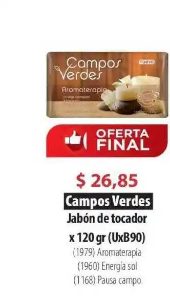 Parodi Campos Verdes Jabón de tocador x 120gr (UxB90) oferta