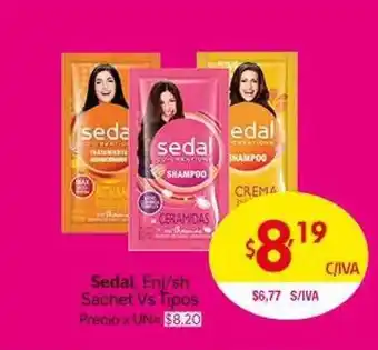 Sedal Enjuague/shampoo Sachet Vs Tipos