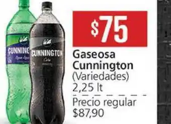 Cunnington Gaseosa (Variedades) 2,25Lt
