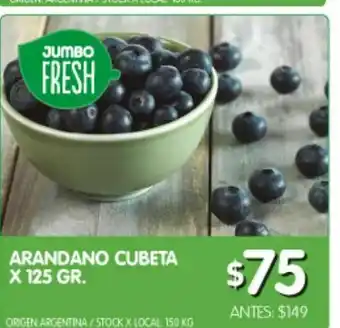 Jumbo Arándanos 125 gr oferta