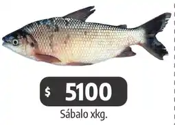 Autoservicio Capo Sábalo oferta