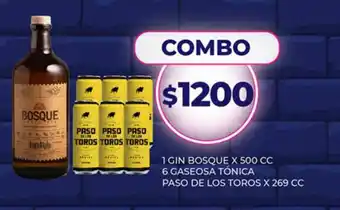Supermercados Toledo 1 Gin Bosque 6 Gaseosa Tónica Paso De Los Toros x 200cc oferta