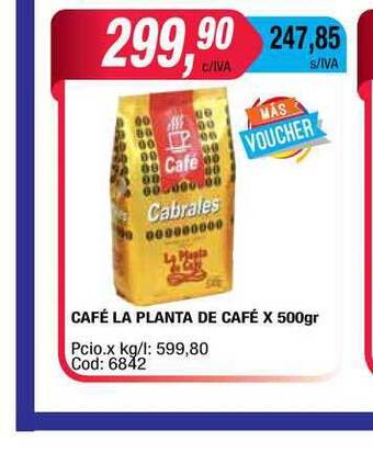 Maxiconsumo Café La Planta De Café x 500gr oferta