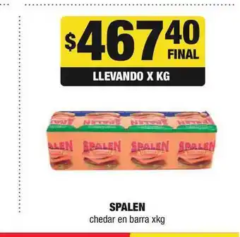 Spalen Chedar En Barra