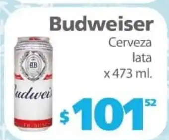 Actual Supermercados Budweiser Cerveza lata x 473ml oferta