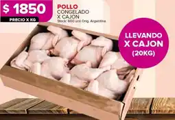 Carrefour Pollo congelado oferta