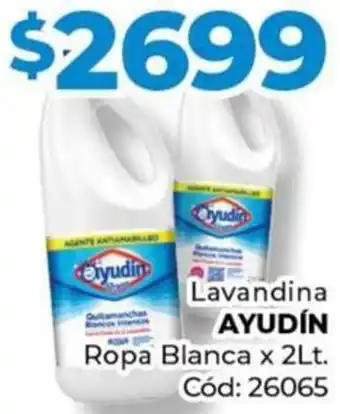 Diarco Ayudín lavandina ropa blanca oferta