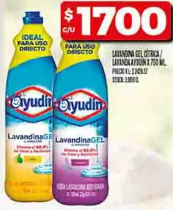 Supermercados DIA Ayudín lavandina gel oferta