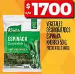 Knorr vegetales deshidratados espinaca