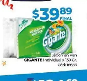 Diarco Jabón en Pan Gigante Individual x 150 gr oferta