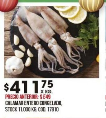 Calamar Entero Congelado