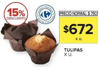 Carrefour Tulipas oferta