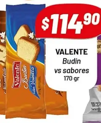 Almacor Valente Budín Vs Sabores 170 gr oferta