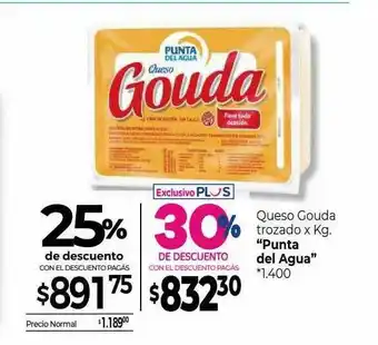 La Anonima Queso Gouda Trozado X Kg Punta Del Agua 25% De Descuento oferta