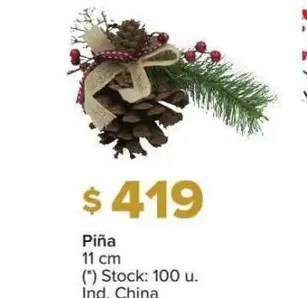 Carrefour Piña 11 Cm oferta
