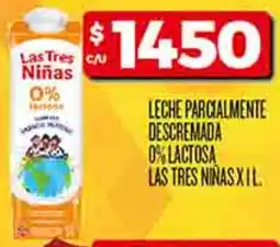 Supermercados DIA Leche parcialmente descremada 0% lactosa las tres niñas oferta