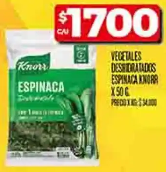 Supermercados DIA Knorr vegetales deshidratados espinaca oferta