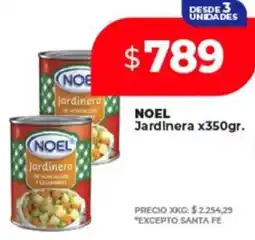 Supermayorista Vital NOEL Jardinera oferta