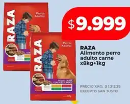 Supermayorista Vital Raza alimento perro adulto carne oferta