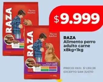 Supermayorista Vital Raza alimento perro adulto carne oferta