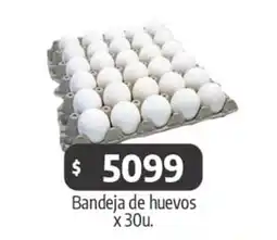 Autoservicio Capo Bandeja de huevos oferta