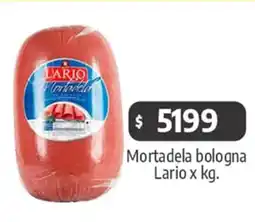 Autoservicio Capo Mortadela bologna Lario oferta