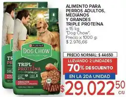 Carrefour Dog Chow oferta