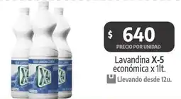 Autoservicio Capo X-5 Lavandina oferta