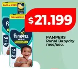 Supermayorista Vital PAMPERS Pañal Babydry oferta