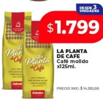 Supermayorista Vital La planta de cafe molido oferta