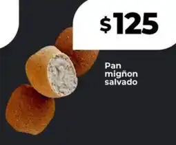 Supermayorista Vital Pan mignon salvado oferta