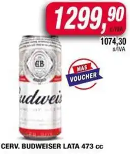 Maxiconsumo Budweiser cerv. lata oferta