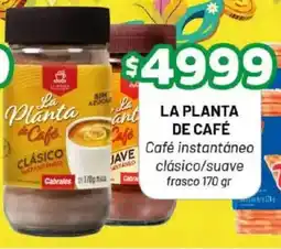 Almacor La planta de café oferta