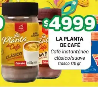 Almacor La planta de café oferta