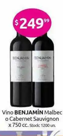 Vino Benjamín Malbec O Cabernet Sauvignon