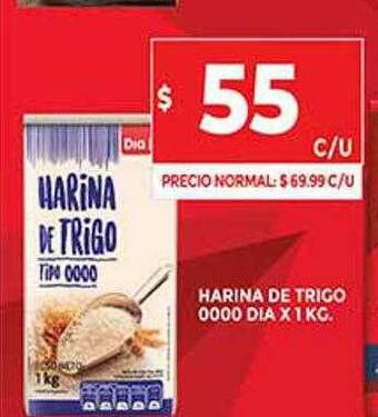 Supermercados DIA Harina De Trigo 0000 Dia oferta