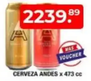 Maxiconsumo Cerveza andes oferta