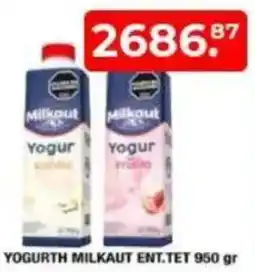 Maxiconsumo Yogurth milkaut ent. tet oferta