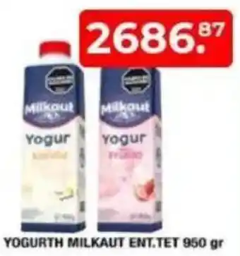 Maxiconsumo Yogurth milkaut ent. tet oferta