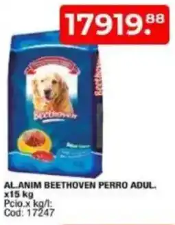 Maxiconsumo Al.anim beethoven perro adul. oferta