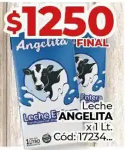 Diarco Angelita leche oferta