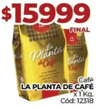 Diarco La planta de café oferta